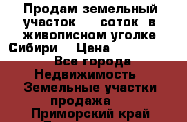 Продам земельный участок (40 соток) в живописном уголке Сибири. › Цена ­ 1 000 000 - Все города Недвижимость » Земельные участки продажа   . Приморский край,Дальнегорск г.